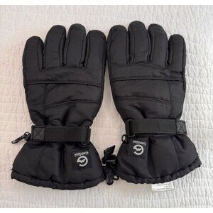 Gordini Black Water Repellent Ski Gloves